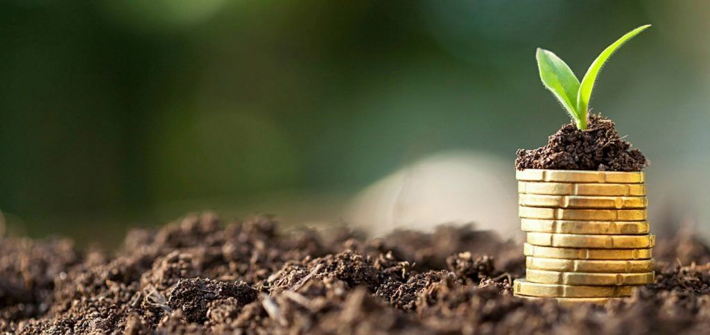 Da Rua Pra Política: A 'onda Verde' Toma Europa 1